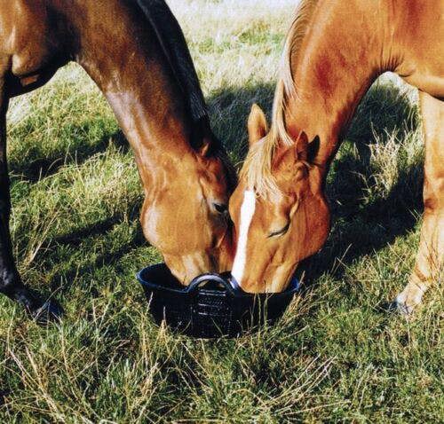 Ketoplastics Skip feed bucket feeder 11l in black pack of 2 integrated handles made of rubber flexible animal pet horse