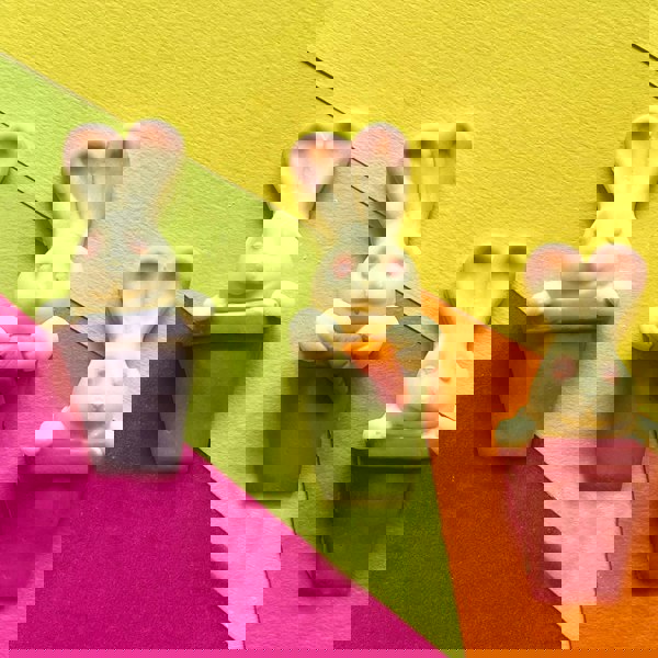 CHOC ON CHOC Chocolate Bunnies