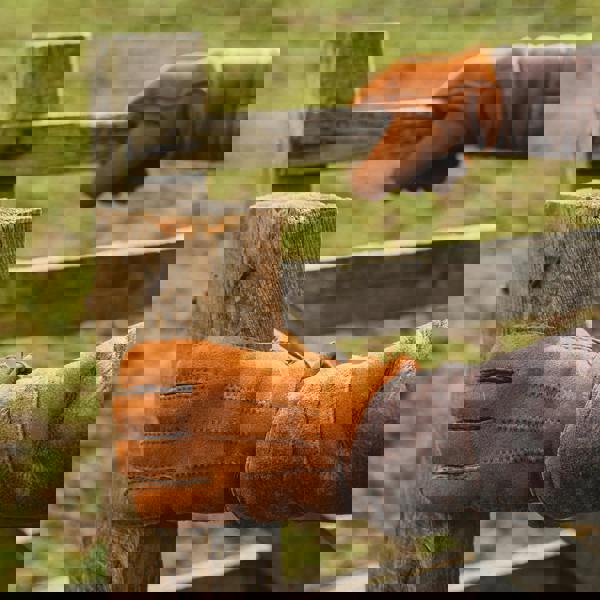 Nordvek Mens Sheepskin 3 Point Gloves