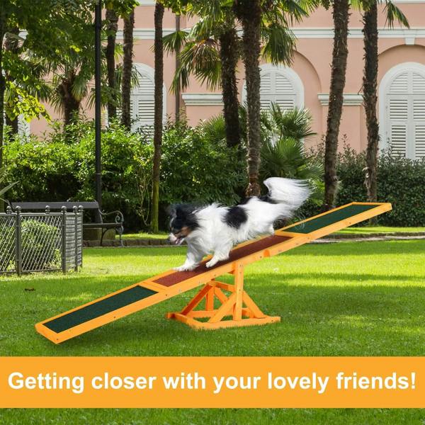 Dog using a wooden agility seesaw with green and brown walking surfaces in yard
