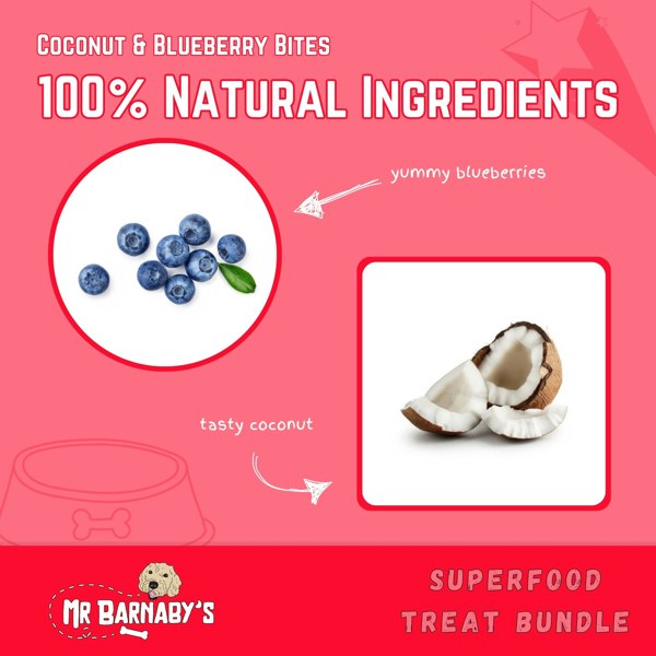 Mr Barnaby's Superfood Treat Bundle