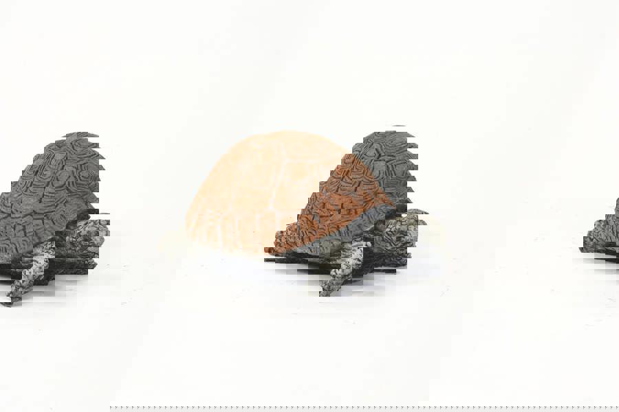 Small Stone Cast Tortoise Garden Ornament