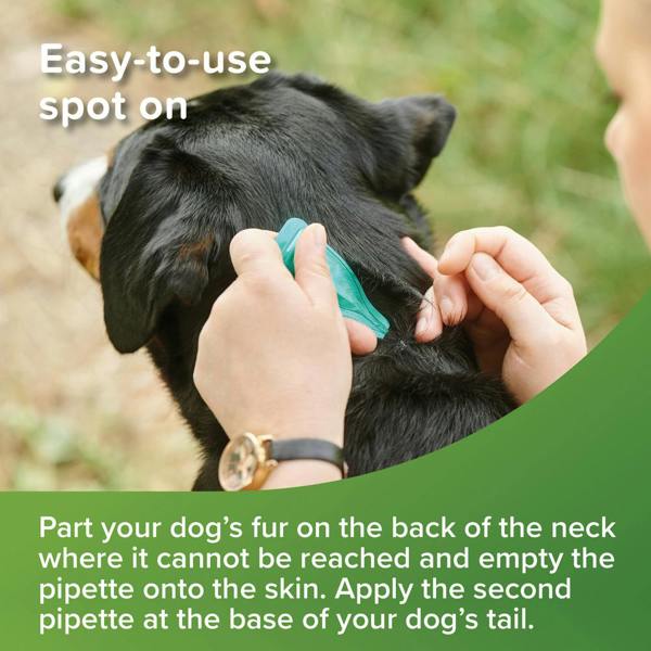 Beaphar Vetopure Med/Large Dog Spot On - 6 Pipettes