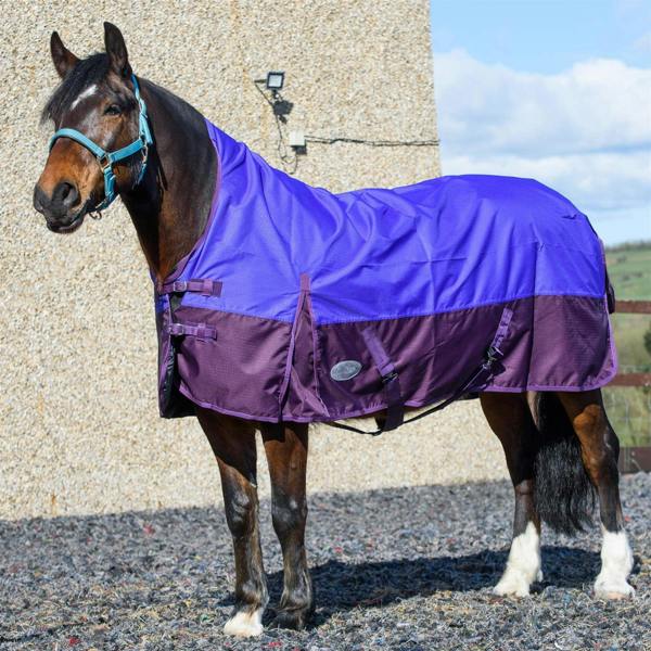 eQuitack 600D Outdoor Winter Lightweight Waterproof Horse Turnout Rug 0g No Fill Half Neck Nylon Lined Double Buckle Purple/Plum