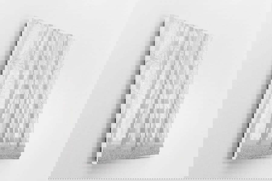 black and white framed canvas