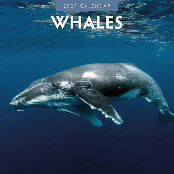 Whales Calendar 2027, Wall Calendars, Month To View, Animals, Gift