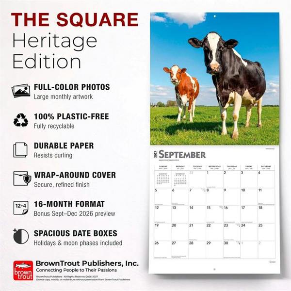 Cows Calendar 2027, Wall Calendars, Month To View, Animals, Gift
