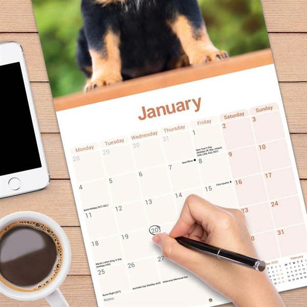 Rottweiler Calendar 2027, Wall Calendars, Month To View, Dogs, Gift