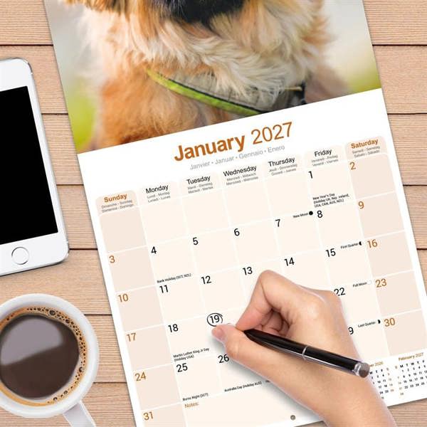 Pekingese Calendar 2027, Wall Calendars, Month To View, Dogs, Gift