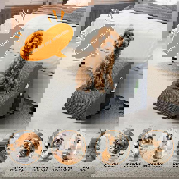 Skylos 2 Step Dog Ramp Pet Stairs for Small Dogs Bed Sofa Foam Non-Slip Washable