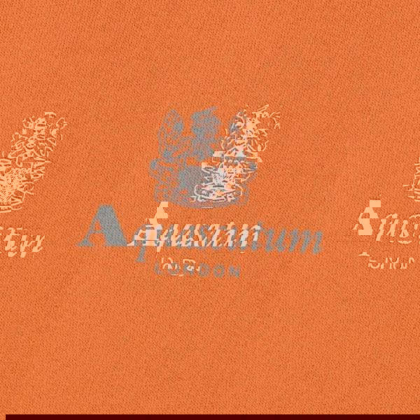 Aquascutum Active Active Small Logo Hoodie Fleece Rust S