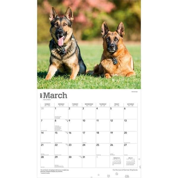 For The Love Of German Shepherds Deluxe Calendar 2027, Deluxe Calendars, Month To View, Dogs, Gift