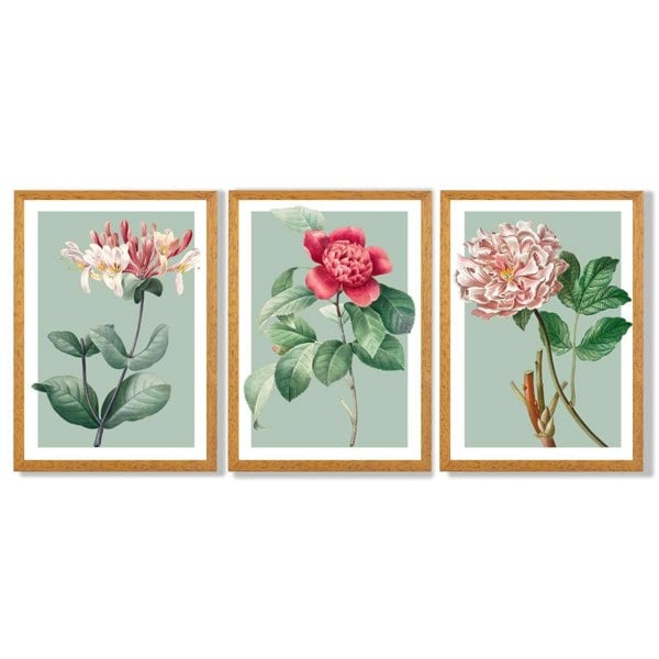 Artze Wall Art Vintage Flowers Honeysuckle, Peony Set of 3 Framed Prints