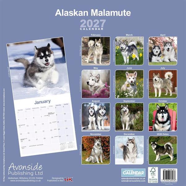 Alaskan Malamute Calendar 2027, Wall Calendars, Month To View, Dogs, Gift