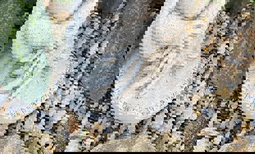 Cute Prince Frog Pond Ornament