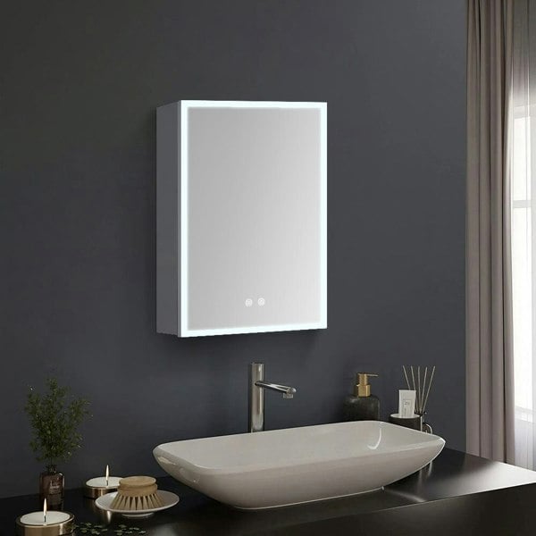 Surface Mount Frameless Single Door LED Mirror Cabinet Bathroom Mirror Cabinets Living and Home