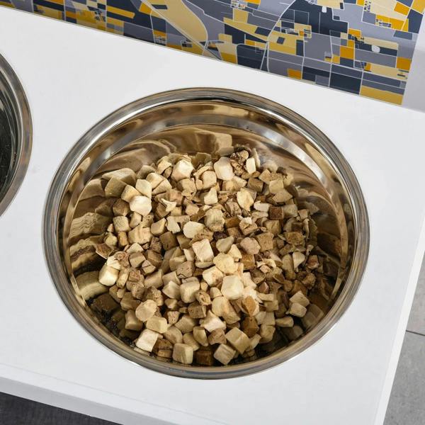 Close-up of stainless steel dog bowl filled with dry kibble on a white stand