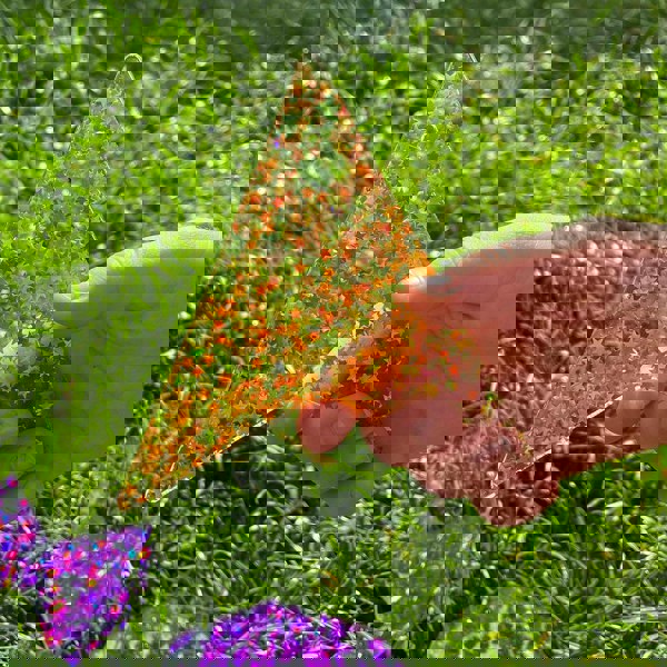 tickit Rainbow Glitter Shapes