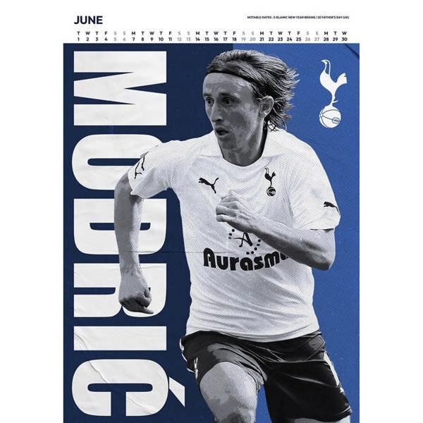 Tottenham Hotspur FC Collector's Edition A3 Calendar 2027, Wall Calendars, Month To View, Sports, Gift