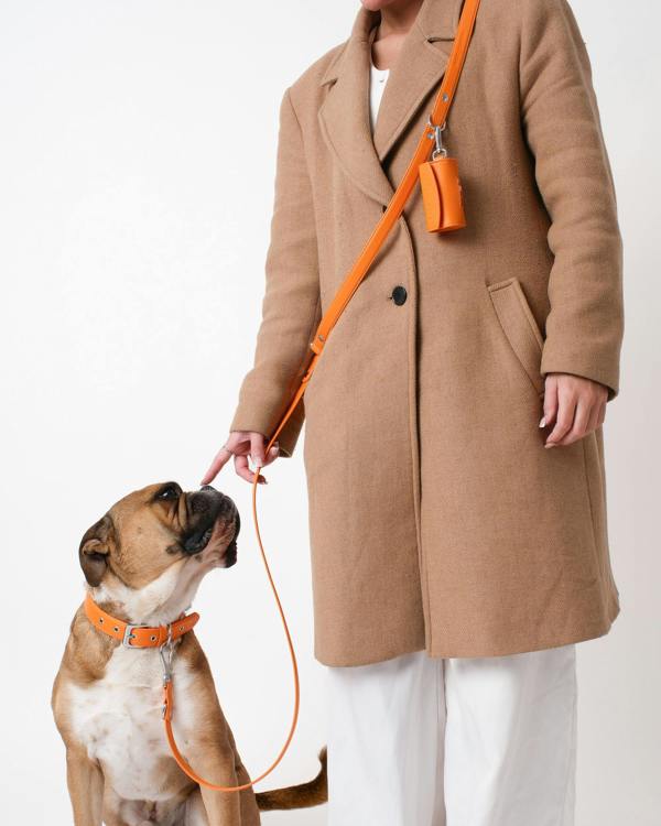 Barc London Mandarin Orange Double Ended Lead