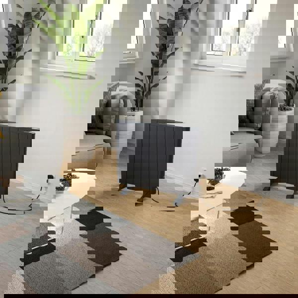 Agadon Riley Aluminium Electric Convector Radiator