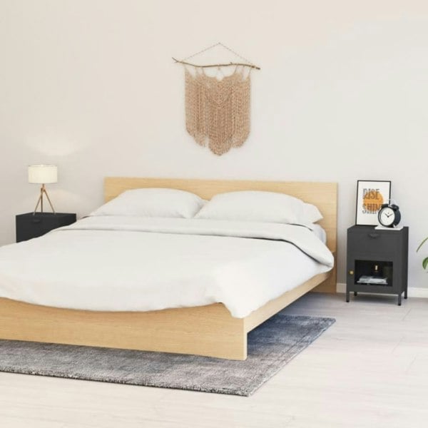 Berkfield Nightstands 2 pcs Anthracite 40x30x54.5 cm Steel and Glass