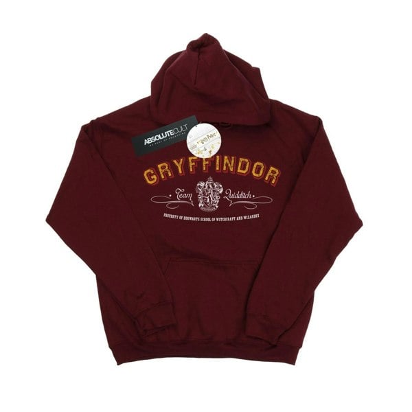 Harry Potter Boys Gryffindor Team Quidditch Hoodie - Burgundy