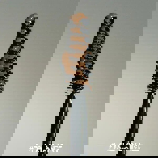 LAKA Wild Brow Shaper balance