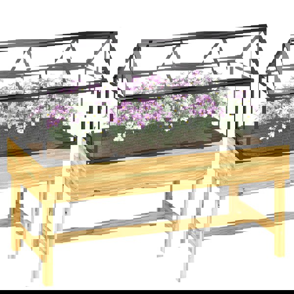 Raised Planter