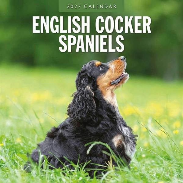 English Cocker Spaniels Calendar 2027, Wall Calendars, Month To View, Dogs, Gift