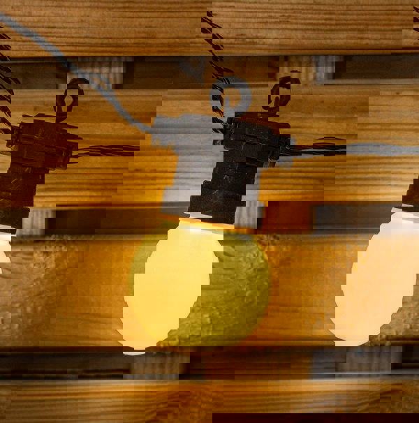 Samuel Alexander Set of 20 Indoor Outdoor Connectable Party Festoon Lights with Warm White LEDs