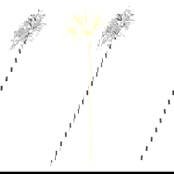 Hill Interiors The Natural Garden Collection Nerine Lily Artificial Flower - White - 