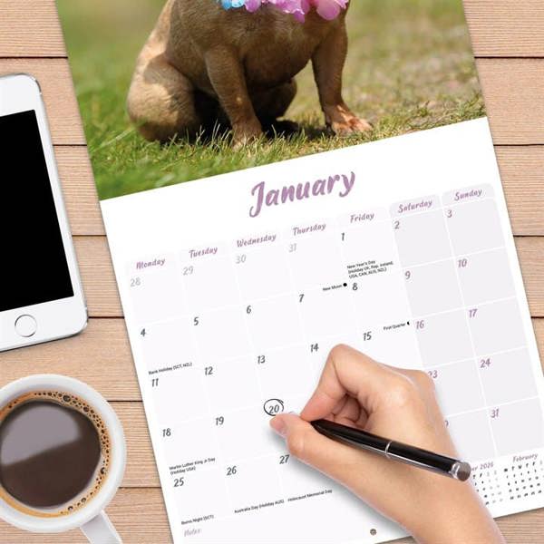 Frenchies Calendar 2027, Wall Calendars, Month To View, Dogs, Gift