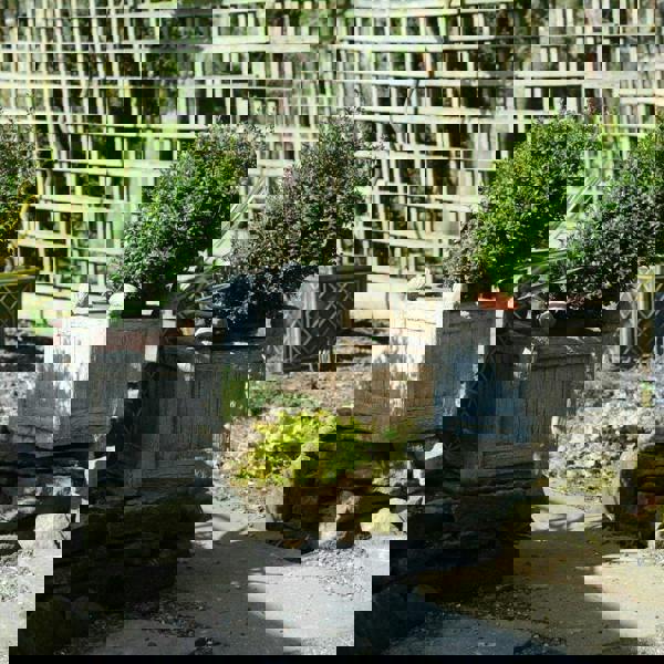 Stone Cast Square Wood Design Pot