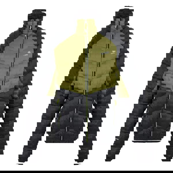 Regatta Mens Dalent Padded Jacket - Nephrite Green/Black - 