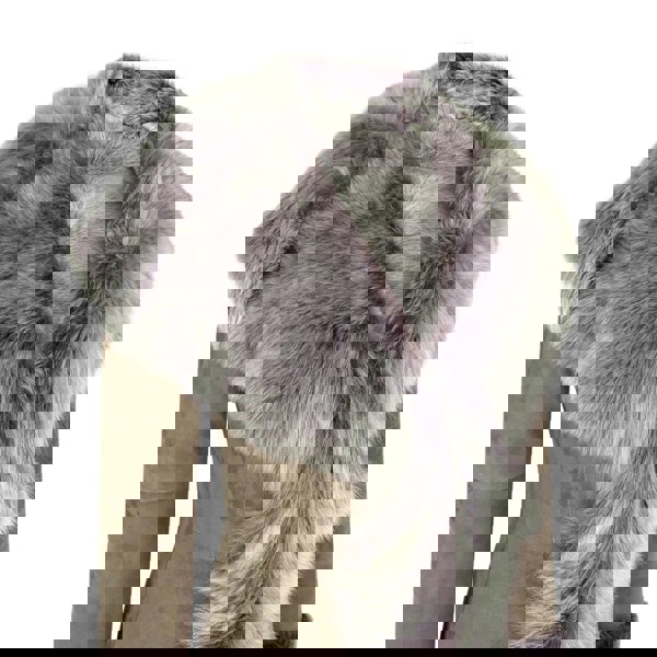 Brissa-Full_jacket_TAUPE_2XL - 18, Brissa-Full_jacket_TAUPE_3XL - 20, Brissa-Full_jacket_TAUPE_L - 14, Brissa-Full_jacket_TAUPE_M - 12, Brissa-Full_jacket_TAUPE_S - 10, Brissa-Full_jacket_TAUPE_XL - 16, Brissa-Full_jacket_TAUPE_XS - 8