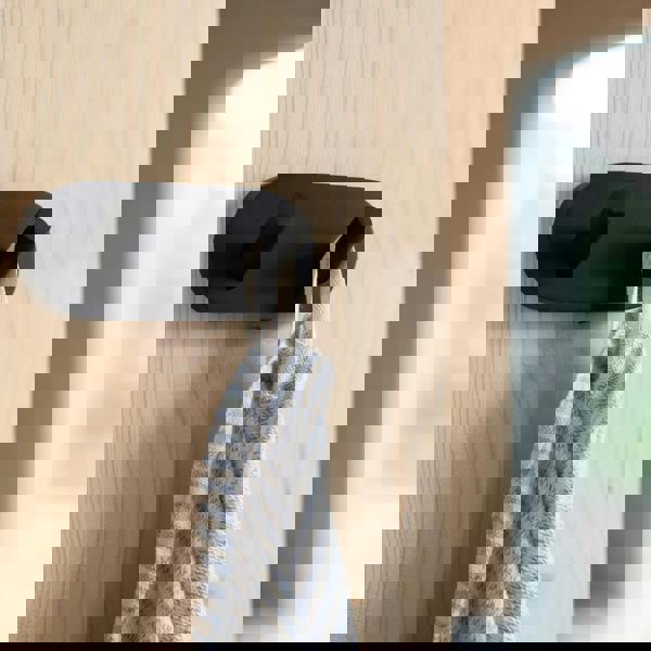 Matt black double towel hook on bathroom wall