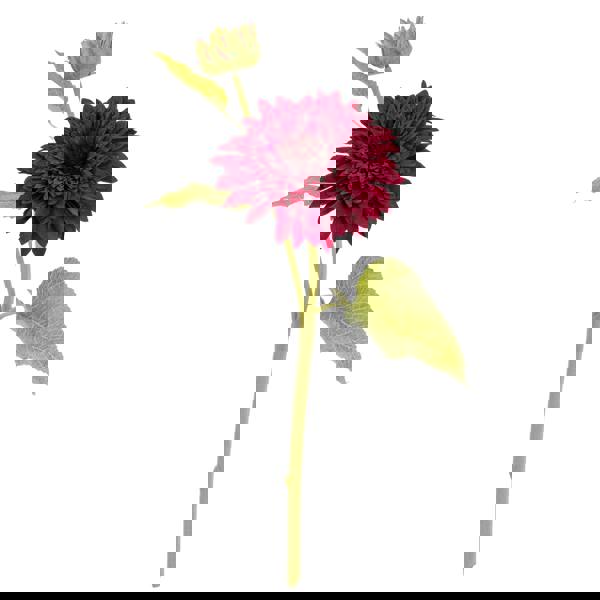 Hill Interiors Raven Dahlia Artificial Flower - Green/Burgundy - 