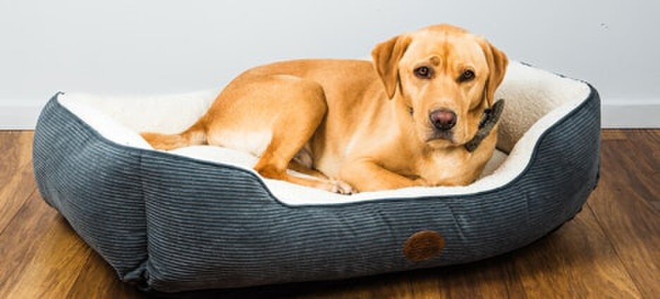 Snug and Cosy Pets Malvern Charcoal Reversible Dog Rectangle Bed - Ultimate Comfort & Style