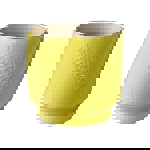 #color_lime