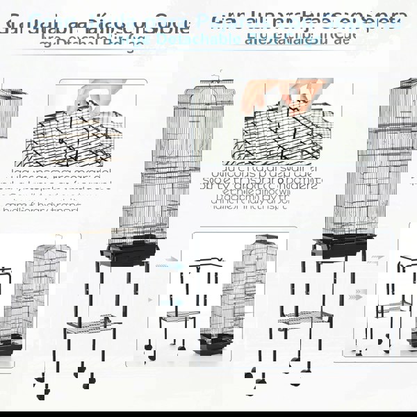 D10-019V01BK
