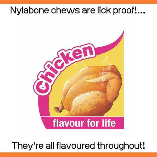Nylabone Gentle Puppy Teething Chew Toy Bone, Chicken Flavour, Medium