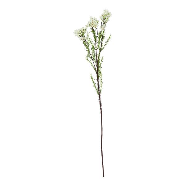 Wyld Haus Set of 3 Artificial Flowers White Waxflower Stems