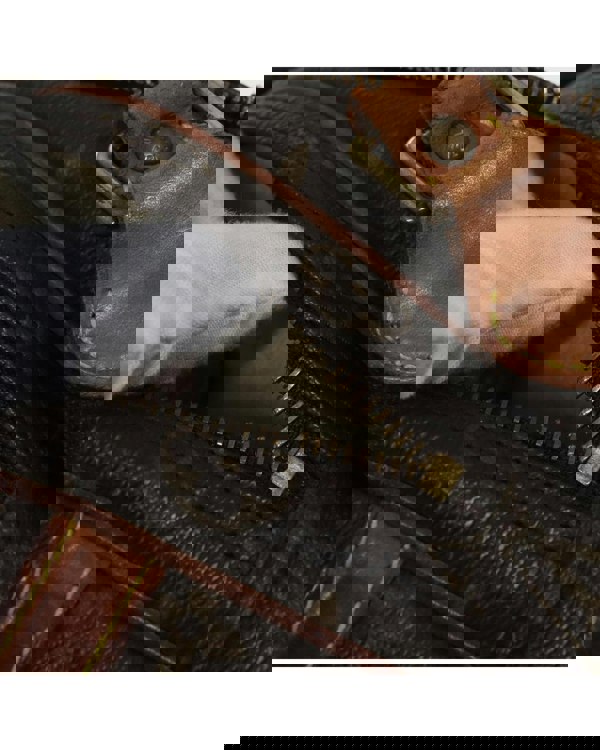 193974742.jpg