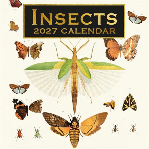 Insects Calendar 2027, Wall Calendars, Month To View, Animals, Gift