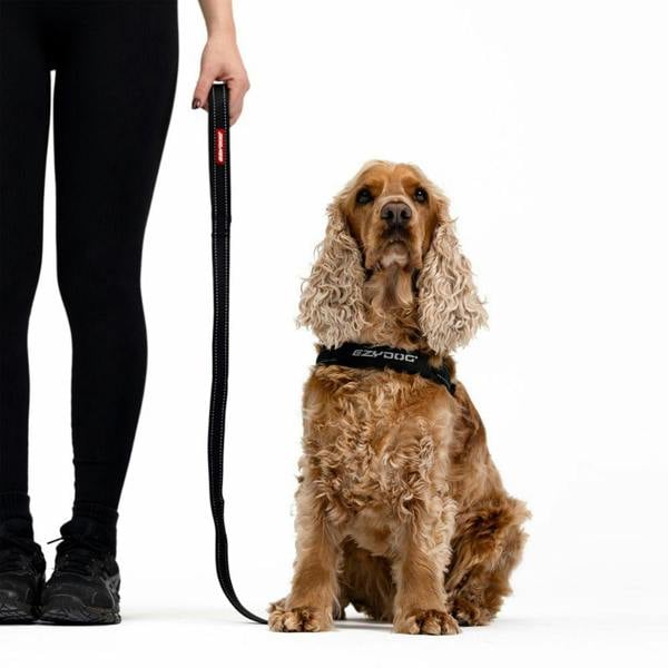 EzyDog Classic Dog Lead in Grey