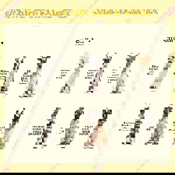 D02-143V00GY