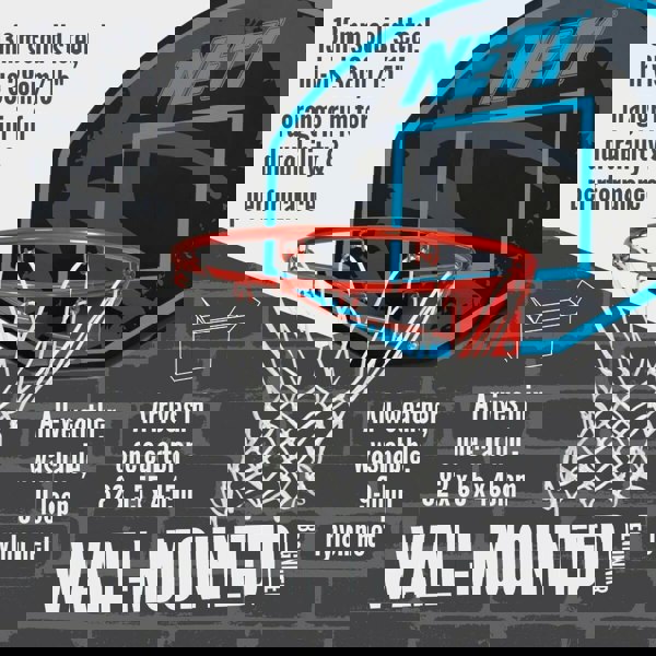 NET1 Basketball Backboard & Hoop