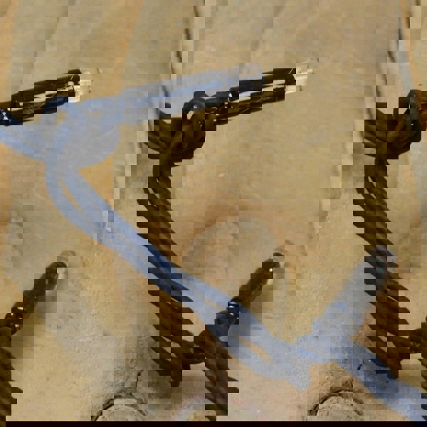 Samuel Alexander 9.9m (100 LED) Snowtime Multi-Coloured Connectable Lights with 3m Lead Wire