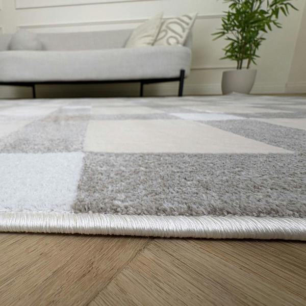 Patterned rug on a wooden floor with a sofa and plant in the background